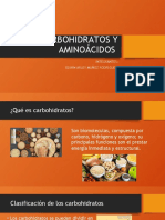 Carbohidratos y Aminoacidos