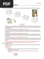 Netics Worksheet With Keys