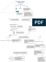 Conceptos y Normas de Ley Natural Mapa Mental PDF