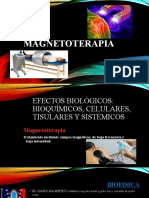 Magnetoterapia