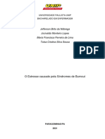 Pré Projeto Finalizado - Sindrome de Burnout