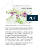 QUITO, Una Ciudad Extensa, Centralizada y de Baja Densidad