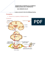 Seminario DOLOR