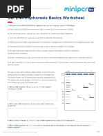 Gel Electrophoresis Basics Worksheet: Name