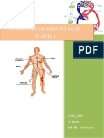 UFCD 9137 - Anatomia Do Sistema Veno-Linfático