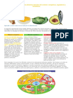 Propiedades Nutritivas de Los Alimentos Natirales