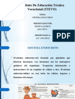 Sistema Endocrino