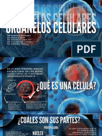 Organelos Celulares