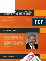 3enfoque Six Sigma, Voz Del Cliente, Voz Del Proceso.