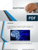 NEUROANATOMIA