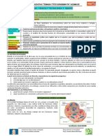 24 - Ficha Del Área de Ciencia y Tecnología 2º Grado