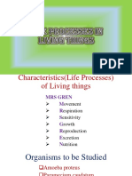 Life Processes of Living Things