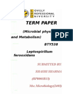 Leptospirillum Ferooxidans