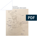 Tarea Microscopio - Victor Vivas (21-0971)