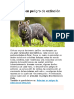 Animales en Peligro de Extinción en Chile