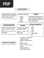 Mapa Conceptual - Alimentacion Saludable