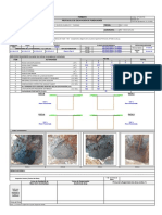Formato de Protocolo de Excavación 9