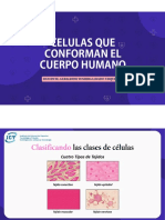 Funciones de Las Celulas Del Cuerpo Humano