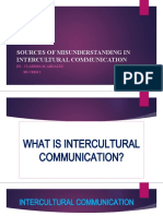 Sources of Misunderstanding in Intercultural Communication