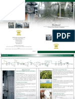 Processo Fabricação Biodiesel