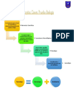 Conceptos Claves Prueba Biolgía 3