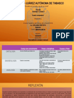 Universidad Juárez Autónoma de Tabasco: "Estudio en La Duda. Acción en La Fe"