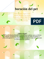 La Elaboración Del Pet