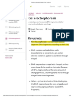 Gel Electrophoresis (Article) - Khan Academy