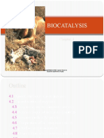 Chapter 4 - Biocatalysis