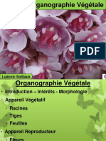 Organographie Végétale, Appareil Reproducteur (Fleurs, Sans Coordonnées), 2021-2022