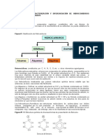 Practica Quimica Organica Hidrocarburos