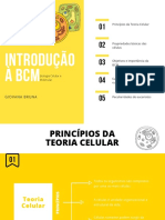 1 - Introdução À BCM