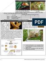 Documents Flux de La Matière Et de Lenergie CHBANI