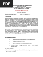 Informe de Laboratorio # 9 - Extracción Del DNA