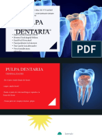 Pulpa Dental