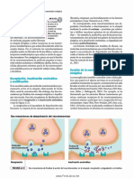 Biopsicología, 6ta Edición Prueba Numero Dos