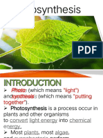 Photosynthesis