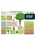 Cartaz Resumo Compostagem Doméstica