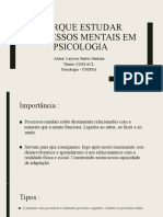 Processos Psicologicos Básicos - Laryssa