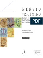 Nervio Trigemino