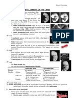 Development of The Limbs: Mesoderm and Migrating Myotomes