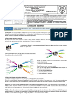 Sem 24 - 4º - Ficha El Mapa Mental 18-10-21