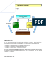 Ciclo C Esquema