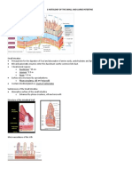 1 Histology of The Small and Large Intestine