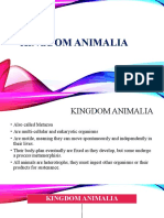 Kingdom Animalia