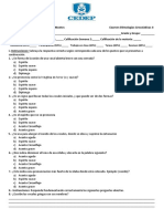 Examen Etimologias Grecolatinas II Sabados