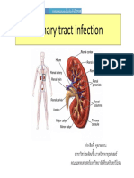 Urinary - Tract - Infection 3