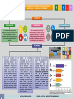 Esquema Conceptual Sobre Relaciones Entre Discapacidad, Minusvalia y Movilidad Reducida