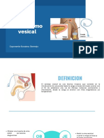 Cateterismo Vesical