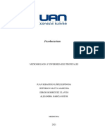 Resumen - Fusobacterium